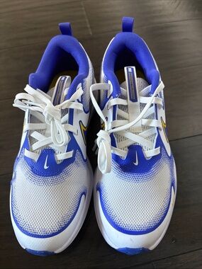Nike Kids White and Royal Blue Mesh Sneakers